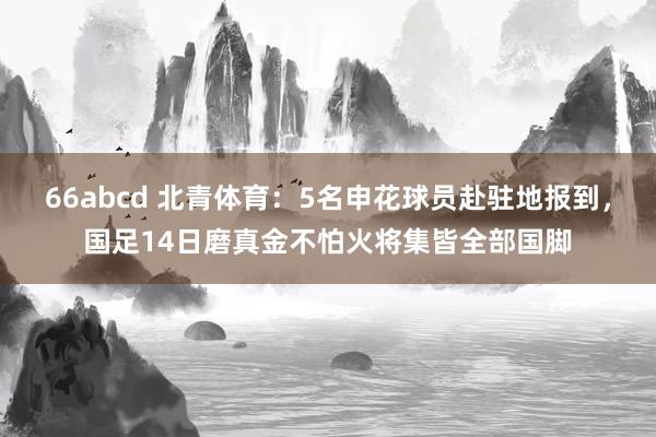 66abcd 北青体育：5名申花球员赴驻地报到，国足14日磨真金不怕火将集皆全部国脚