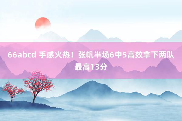 66abcd 手感火热！张帆半场6中5高效拿下两队最高13分