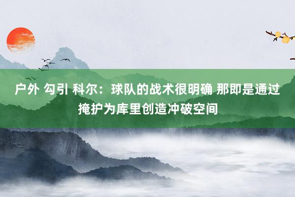 户外 勾引 科尔：球队的战术很明确 那即是通过掩护为库里创造冲破空间
